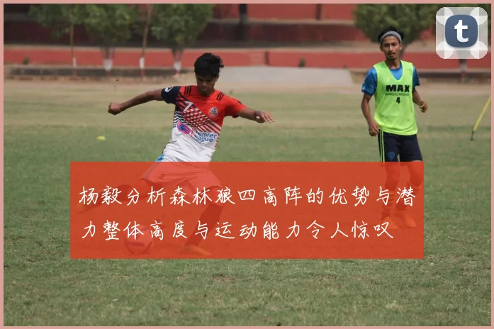 杨毅分析森林狼四高阵的优势与潜力整体高度与运动能力令人惊叹