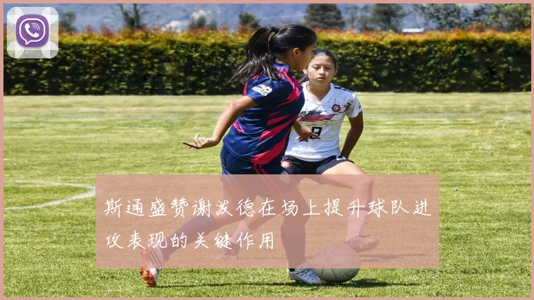 斯通盛赞谢泼德在场上提升球队进攻表现的关键作用